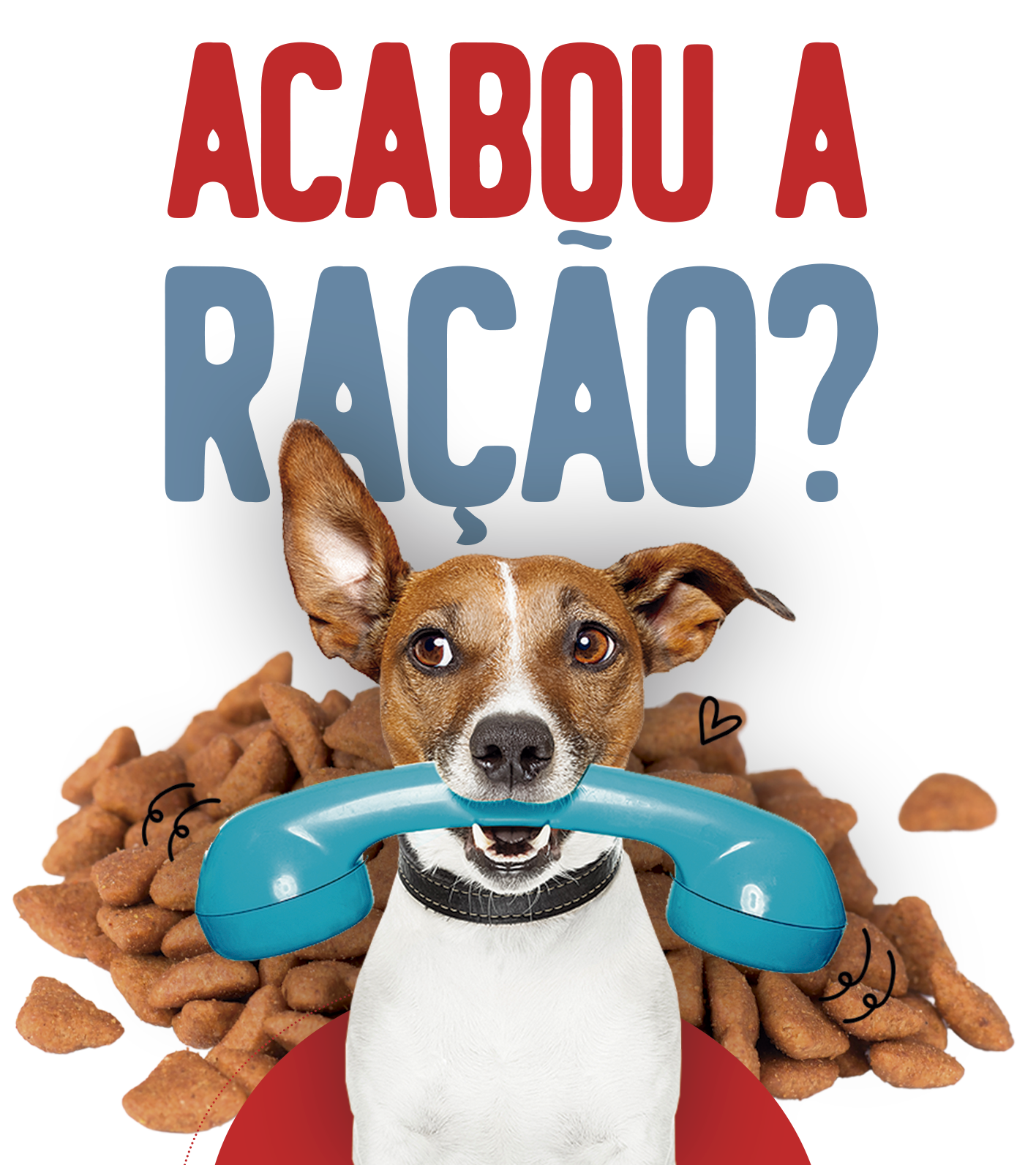 Pet Shop Boi Forte Pet Shop e Agropecuária em Maringá