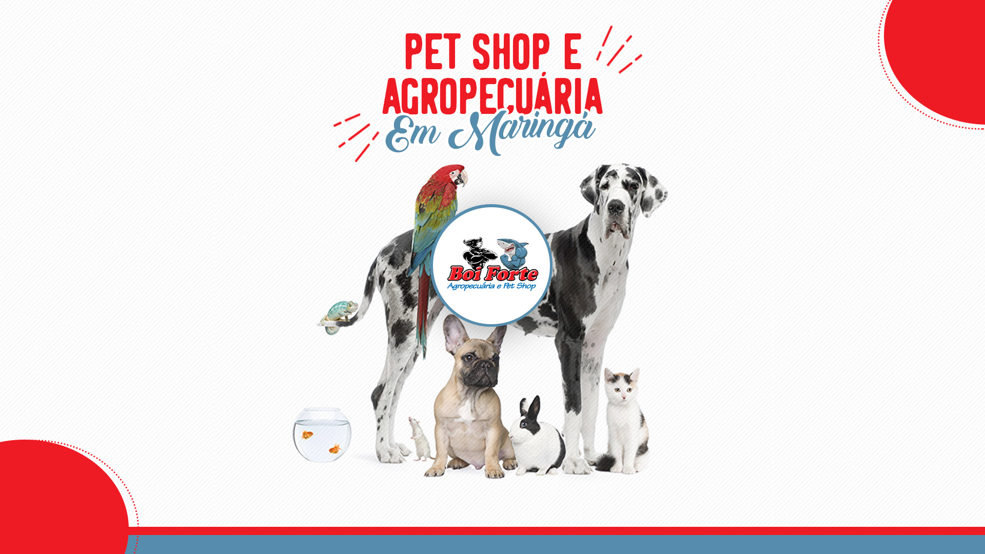 Pet Shop Boi Forte Pet Shop e Agropecuária em Maringá